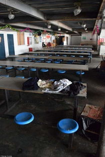 这就是苹果iphone上海代工厂宿舍 好忧心 水果分级机