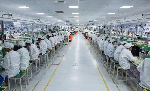印度不再蹦跶！中国取消43亿大单，转交孟加拉国水果分级机项目