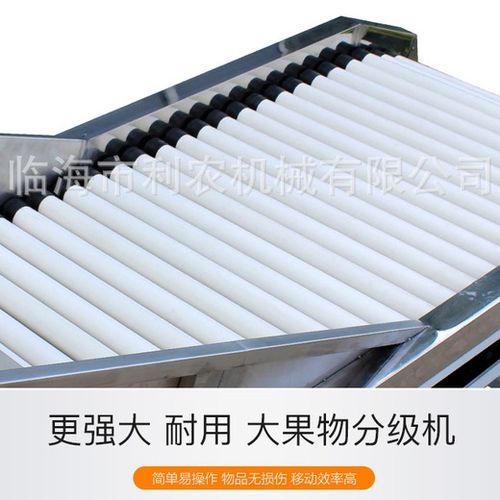 百香果分级机 提升水果加工效率的智能解决方案